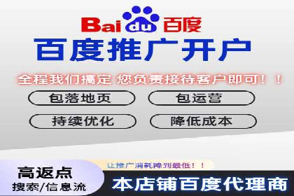 案例解析：sem竞价策略在电商平台的成功应用